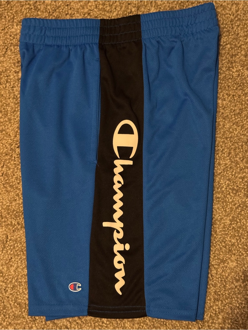 Champion Royal Blue Shorts